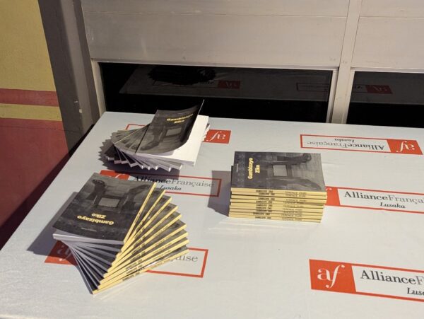 Gambizayo Ziko copies. Gambizayo Ziko (Hardcopy)- Author: Terence Phiri